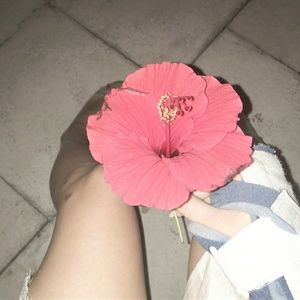 Meet your Posher, Tessa